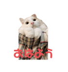 めかぶとたらこ（個別スタンプ：3）
