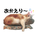 めかぶとたらこ（個別スタンプ：12）