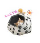 めかぶとたらこ（個別スタンプ：14）