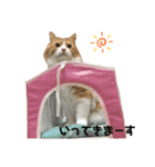 めかぶとたらこ（個別スタンプ：15）