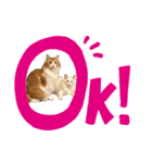 めかぶとたらこ（個別スタンプ：19）