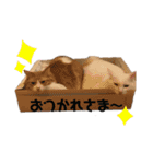 めかぶとたらこ（個別スタンプ：23）
