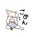 しゅとワンのスタンプ（個別スタンプ：12）