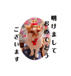 イベントヒナタ①（個別スタンプ：1）