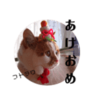 イベントヒナタ①（個別スタンプ：2）