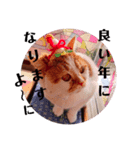 イベントヒナタ①（個別スタンプ：3）