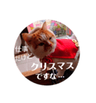 イベントヒナタ①（個別スタンプ：5）