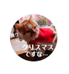 イベントヒナタ①（個別スタンプ：6）