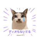 ディオたん（個別スタンプ：5）