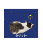 ディオたん（個別スタンプ：7）