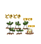 わくわく！オカメです。（個別スタンプ：13）