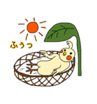 わくわく！オカメです。（個別スタンプ：39）