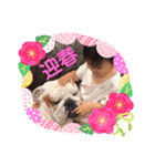 ボス＆とこなつ（個別スタンプ：6）