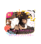 ボス＆とこなつ（個別スタンプ：13）