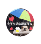 ボス＆とこなつ（個別スタンプ：24）