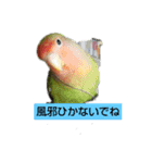 kawafamily10（個別スタンプ：1）