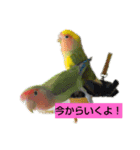 kawafamily10（個別スタンプ：3）