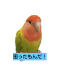 kawafamily10（個別スタンプ：6）