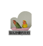 kawafamily10（個別スタンプ：7）