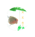 kawafamily10（個別スタンプ：8）