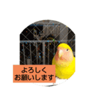 kawafamily10（個別スタンプ：10）