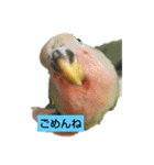 kawafamily10（個別スタンプ：12）