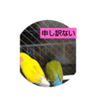 kawafamily10（個別スタンプ：13）