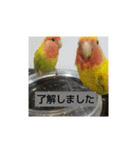 kawafamily10（個別スタンプ：14）
