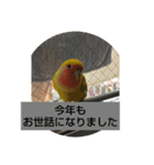 kawafamily10（個別スタンプ：16）