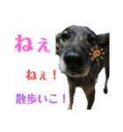 柚子ちゃん①（個別スタンプ：6）