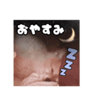 キュートなポン太（個別スタンプ：4）