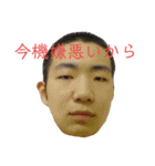 masashiiiii（個別スタンプ：17）