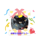 ニャンコ4☆ワンコ1♡（個別スタンプ：10）