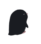 アデリーペンギンちゃん（個別スタンプ：21）