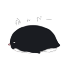 アデリーペンギンちゃん（個別スタンプ：40）