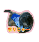 くぅちゃんスタンプ(1)（個別スタンプ：24）