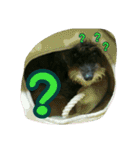 くぅちゃんスタンプ(1)（個別スタンプ：32）