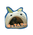 くぅちゃんスタンプ(1)（個別スタンプ：39）