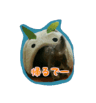 くぅちゃんスタンプ(1)（個別スタンプ：40）