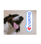 ゾロ×サボ（個別スタンプ：7）