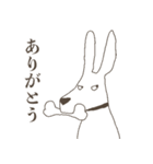 チヨコとクッキー（個別スタンプ：13）