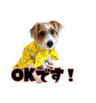 アーサー君の可笑しな毎日（個別スタンプ：2）