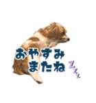 アーサー君の可笑しな毎日（個別スタンプ：4）