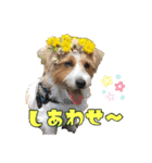 アーサー君の可笑しな毎日（個別スタンプ：6）