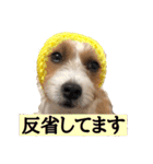 アーサー君の可笑しな毎日（個別スタンプ：14）