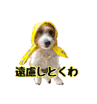 アーサー君の可笑しな毎日（個別スタンプ：15）