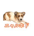 アーサー君の可笑しな毎日（個別スタンプ：17）