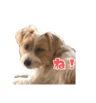 アーサー君の可笑しな毎日（個別スタンプ：18）