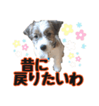 アーサー君の可笑しな毎日（個別スタンプ：19）