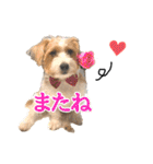 アーサー君の可笑しな毎日（個別スタンプ：22）